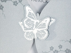 Detaildarstellung des Verschlusses – vergrößerte Abbildung Detaildarstellung des Verschlusses